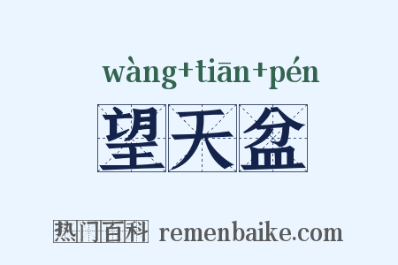 望天盆是什么意思的图片
